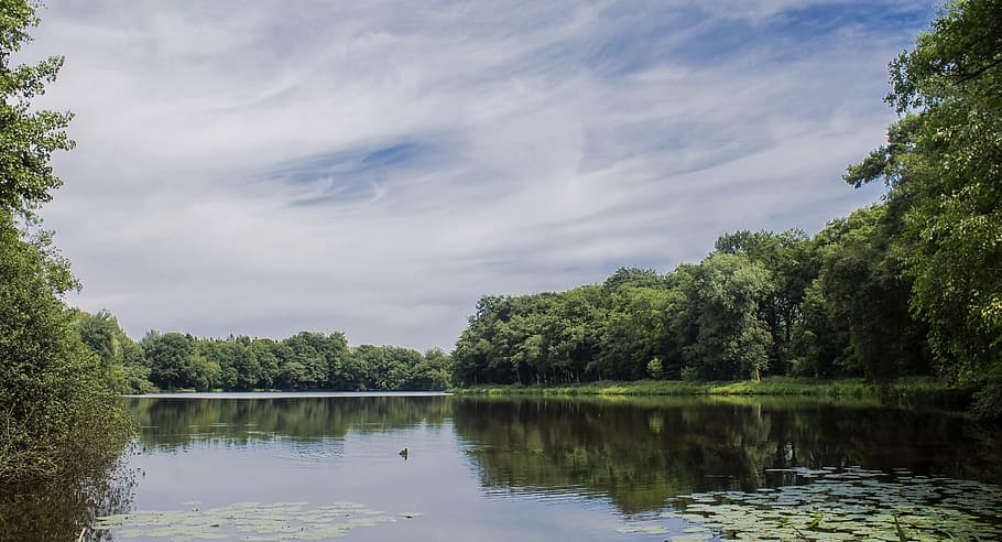 Lake, Water, Forest, Mirroring, reflection, sky, clouds, blue HD wallpaper