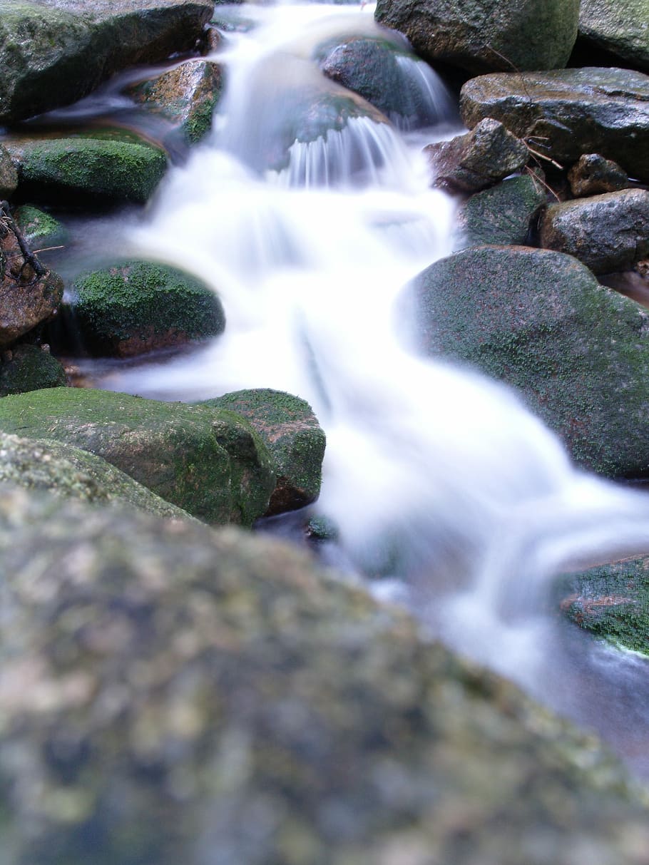 Water, Nature, Landscape, Flow, Murmur, forest, water running HD wallpaper