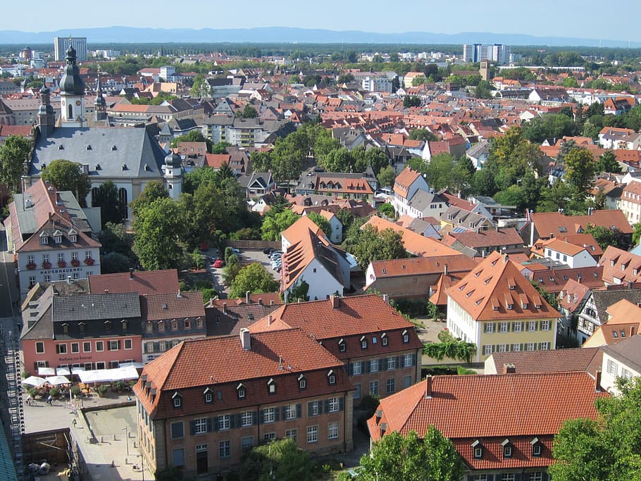 speyer, cathedral, view, panorama, roofs, buildings, city, dreifaltigkeitskirche HD wallpaper