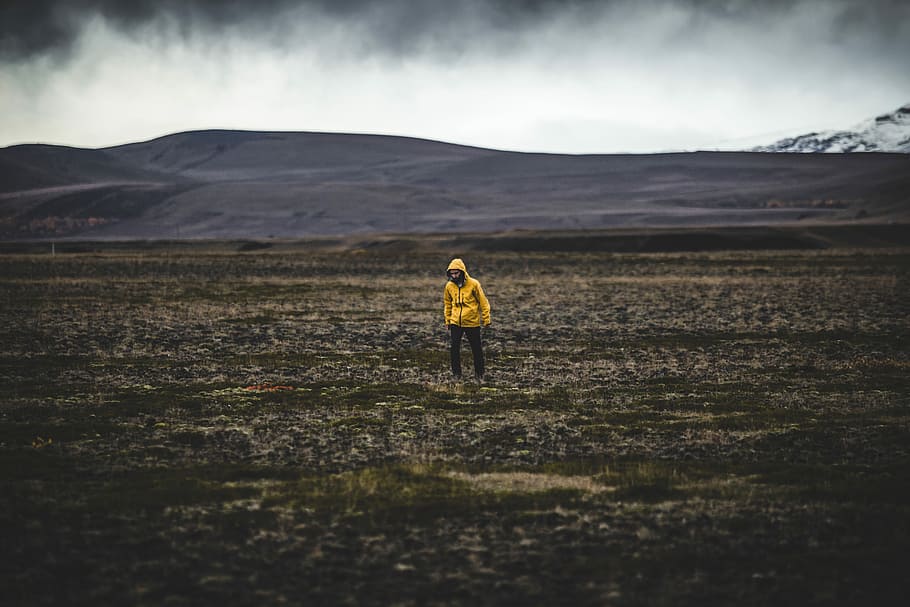 man standing on green grass field under gray sky, person standing on farm HD wallpaper