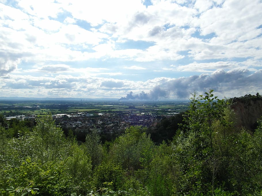 brand, rhine valley, ludwigshafen, cloud of smoke, nature, tree, HD wallpaper