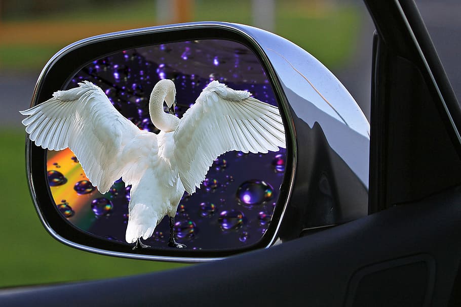 assembly, mirror, car mirror, side mirror, mirror image, reflection HD wallpaper
