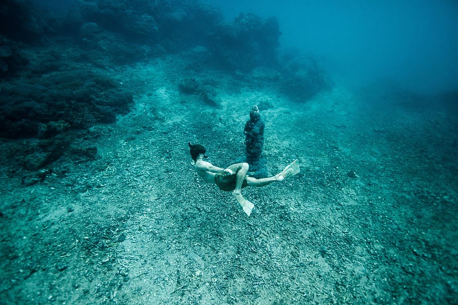 person scooba-diving, person diving in ocean, underwater, man, HD wallpaper