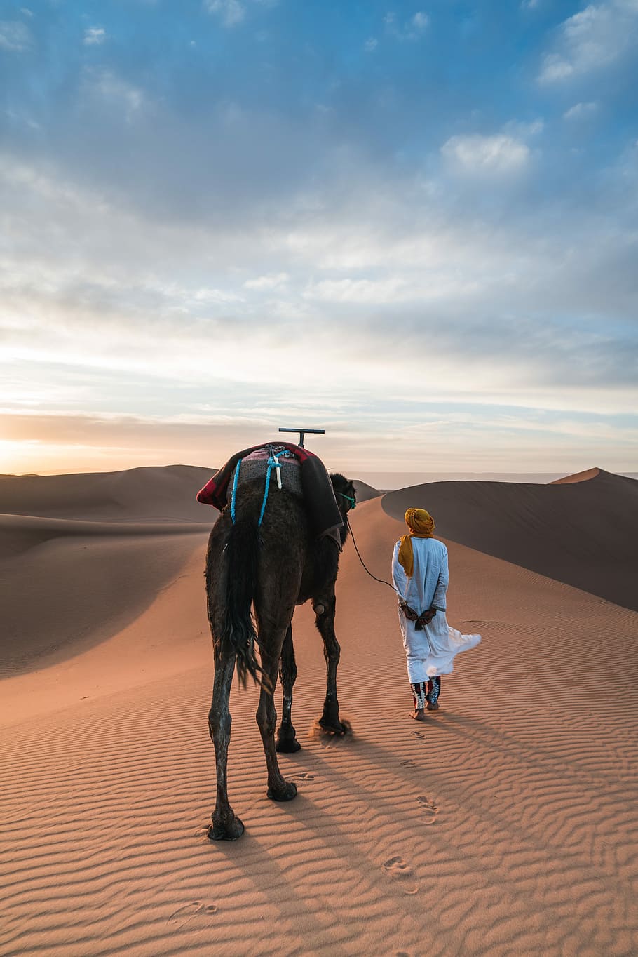 desert man camel safari