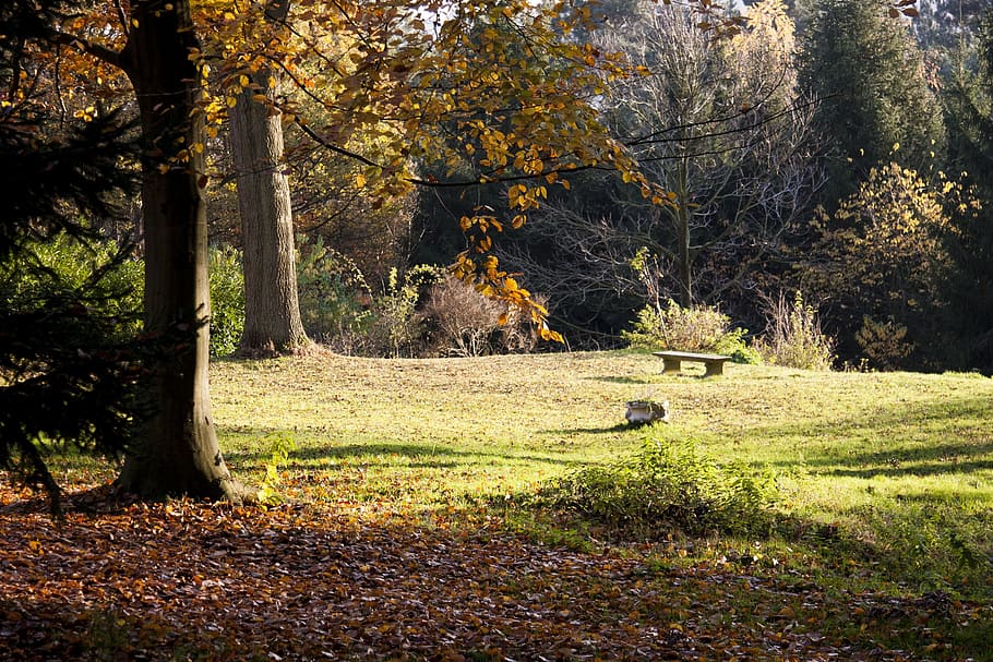 Landscape, Fall, Trees, Nature, autumn landscape, forest, foliage HD wallpaper