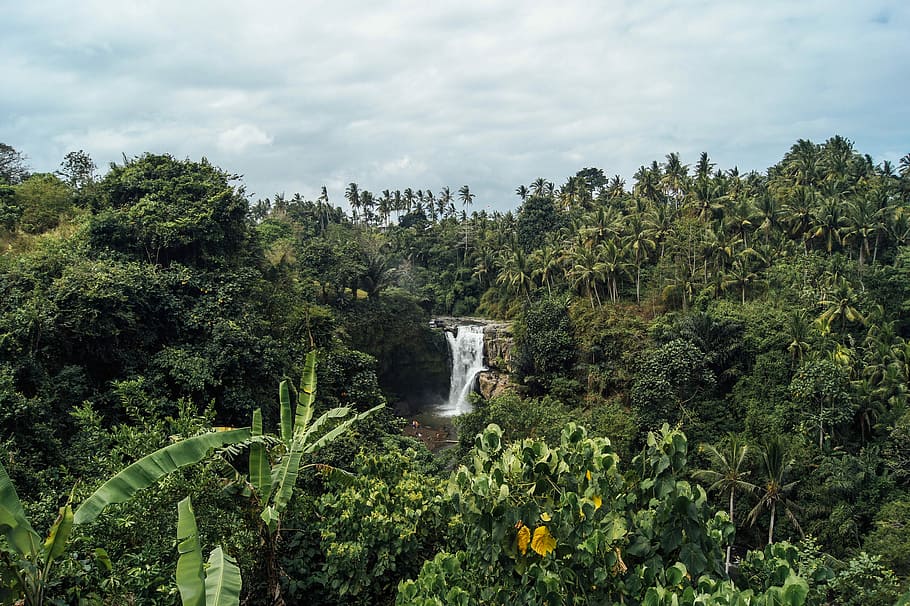 waterfalls surrounded green grass field under gray sky, aerial photography of waterfalls during daytime HD wallpaper