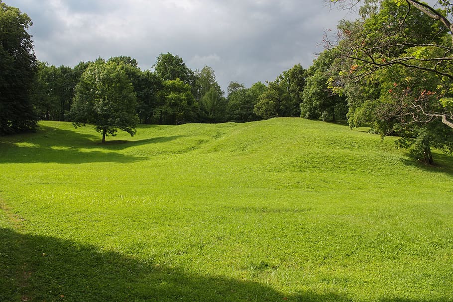 grass, landscape, nature, tree, lawn, field, park, no one, environment HD wallpaper