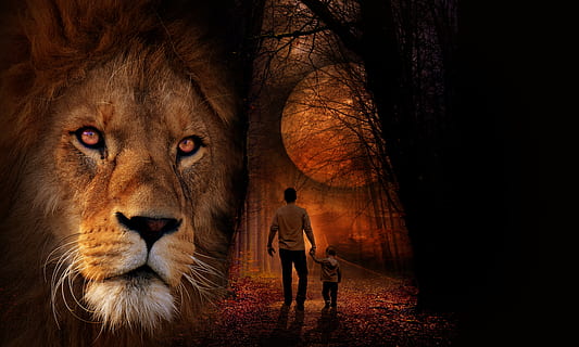 Aslan Narnia Lion Hd Wallpaper for Desktop and Mobiles Retina iPad