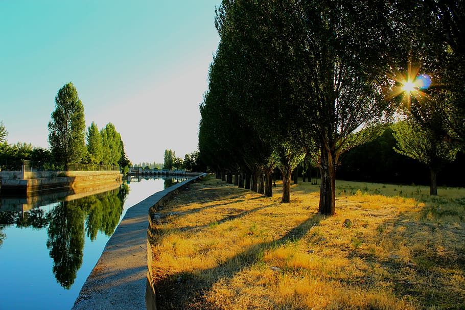Channel, Landscape, Konya, tree, reflection, water, no people HD wallpaper