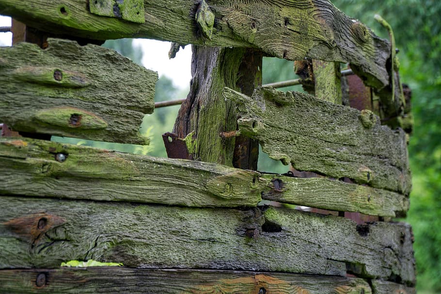 Boot, Ship, Kahn, Old, Wood, ailing, broken, müritz, background HD wallpaper