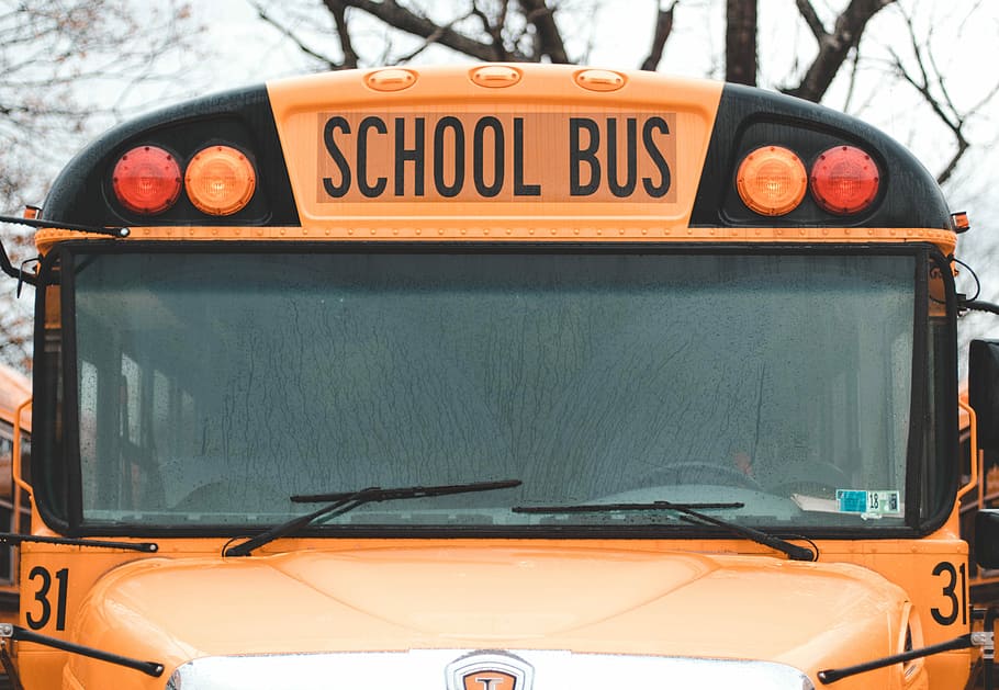 macro photography of school bus, photography of orange school bus HD wallpaper