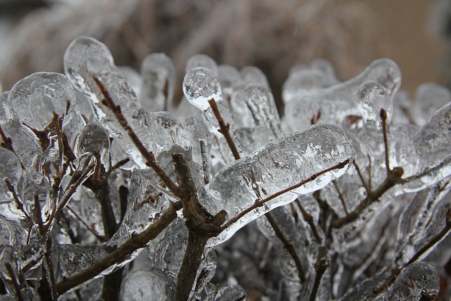 icicles, snow, cold, season, frost, white, nature, weather, HD wallpaper