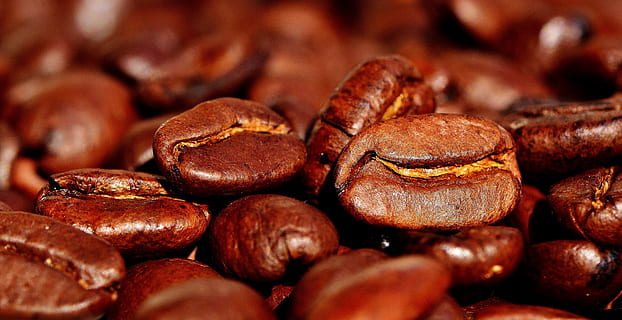 shallow focus photography of coffee beans, Cafe, Roasted, caffeine HD wallpaper