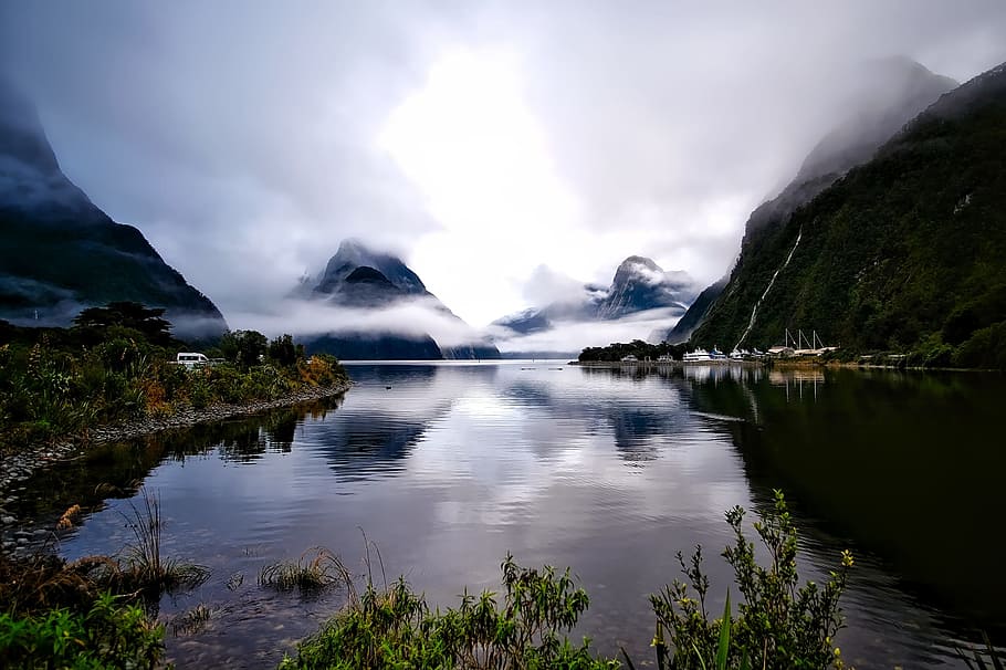 body of water surrounded of plant during daytime, new zealand