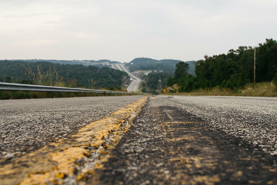 concrete road between tall trees, green, grass, plant, nature HD wallpaper