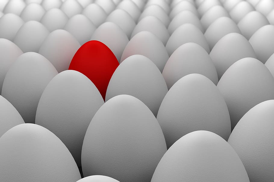 red egg surrounded of white eggs, stand out, i'm different HD wallpaper