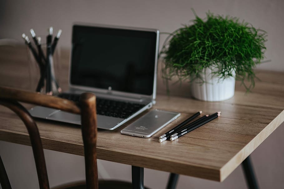 Silver Acer laptop on a wooden desk with a green plant, pencils and an Apple iPhone, HD wallpaper