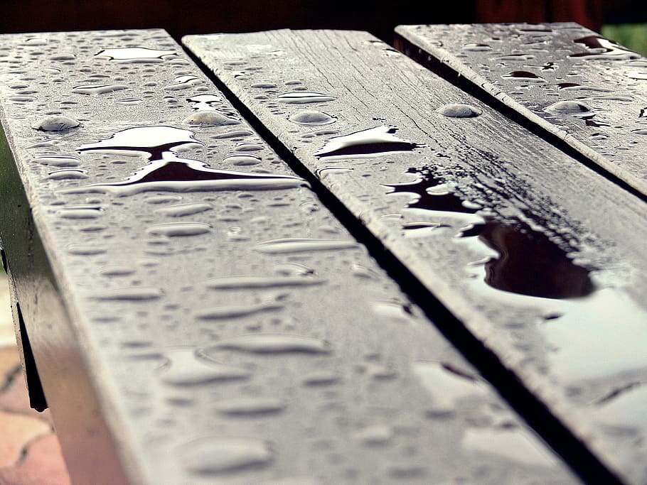 Pad, Drops, Macro, Wood, rain, no people, transportation, day HD wallpaper