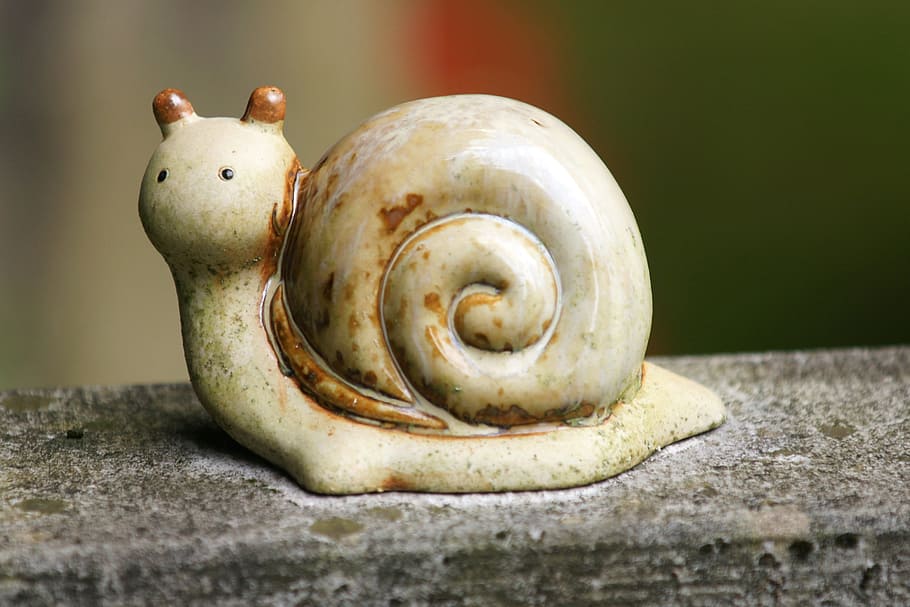 snail, figure, shell, crawl, deco, decoration, sculpture, garden HD wallpaper