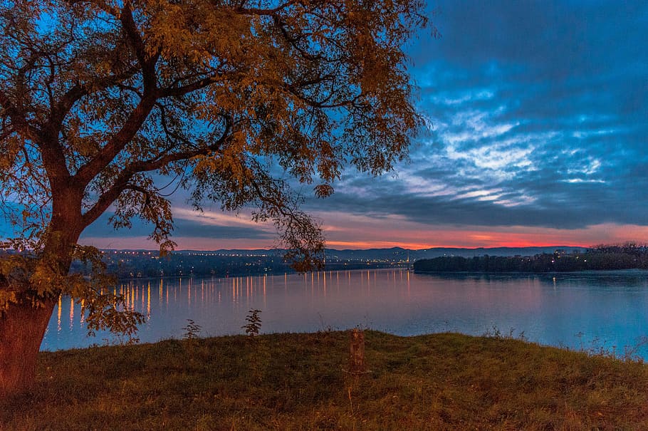 petrovaradin, serbia, sunset, nature, danube, water, lake, tree