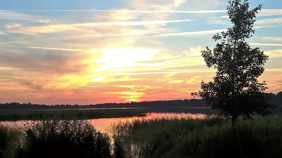 sunset, summer, lake, denmark, sky, plant, beauty in nature HD wallpaper