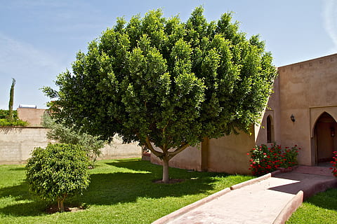 morocco, oriental, marrakech, architecture, arabic, ornament HD wallpaper