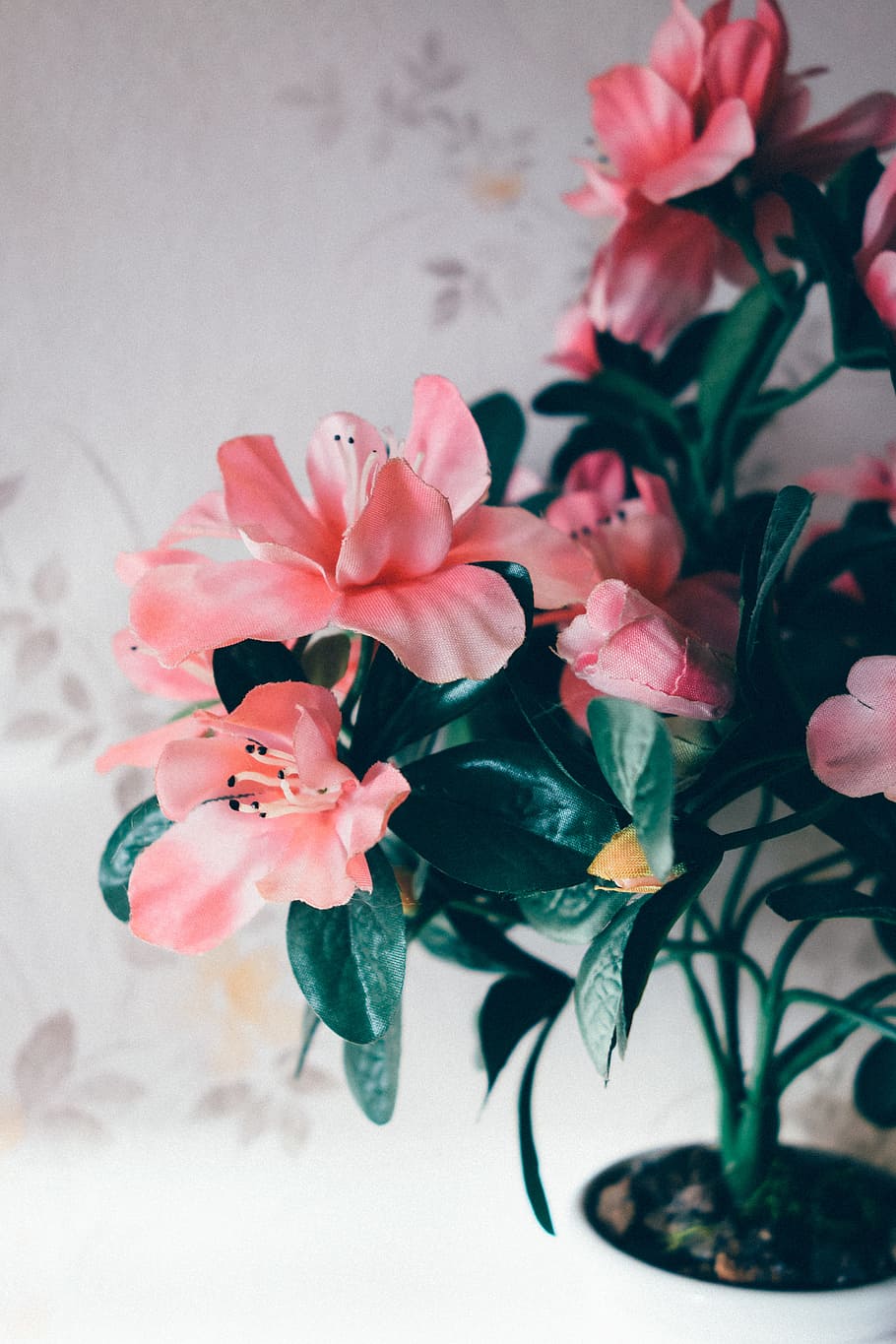 Plastic flowers, nature, objects, plant, pink Color, decoration HD wallpaper