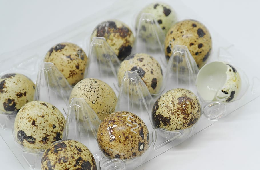 quail egg lot, shell, raw, eat, food, protein, yolk, breakfast HD wallpaper