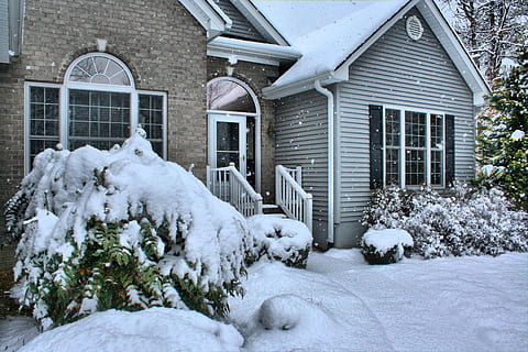plants covered with snow, House, Snowfall, Winter, Front, Door HD wallpaper