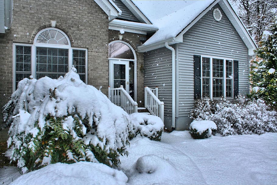 plants covered with snow, House, Snowfall, Winter, Front, Door HD wallpaper
