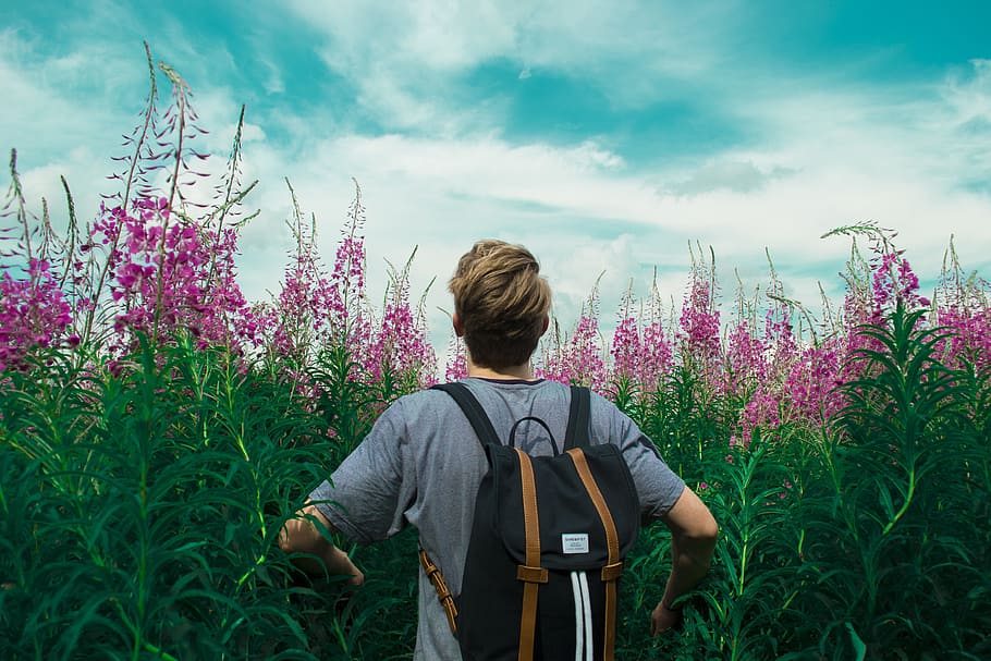man wearing blue shirt looking into sky, bloom, blooming, blossom HD wallpaper