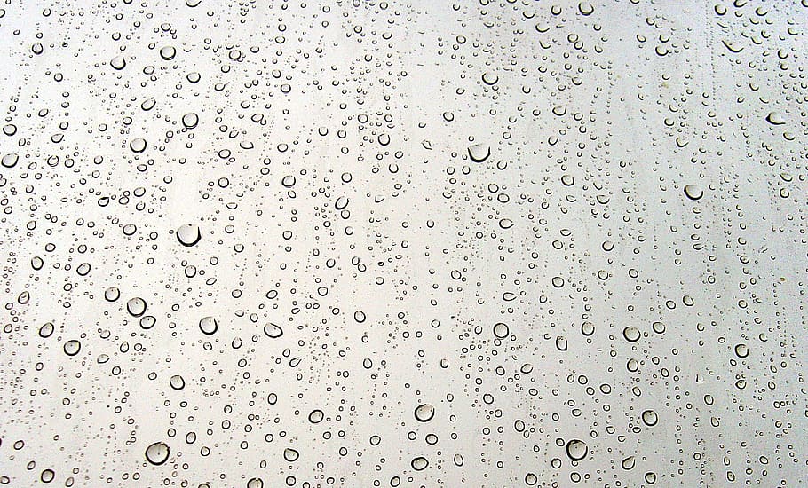 photography of rain drops, window, drops of rain, drop of water