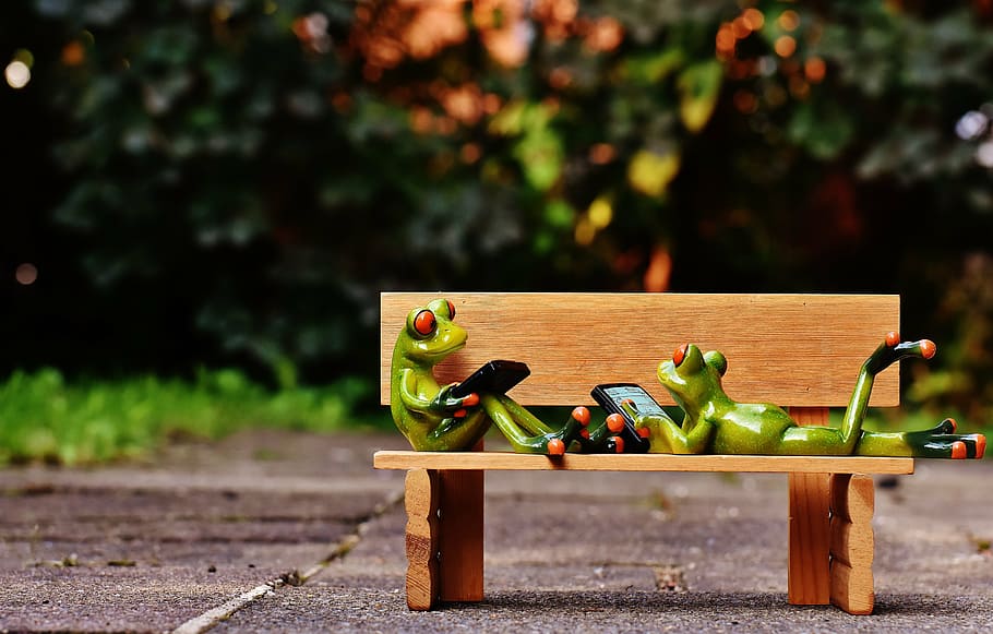 frogs, computer, bank, bench, relaxed, figure, funny, rest HD wallpaper