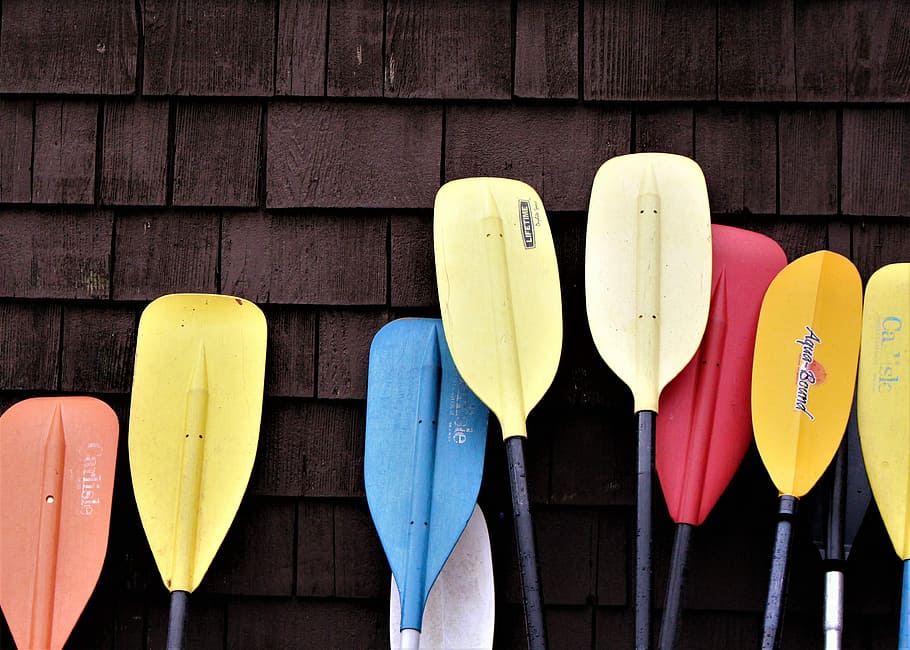 paddle lot, summer camp, adventure, canoe, river, recreation HD wallpaper