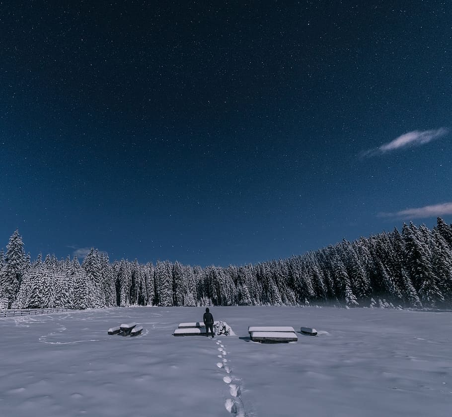 snow, winter, white, cold, weather, ice, people, man, alone HD wallpaper