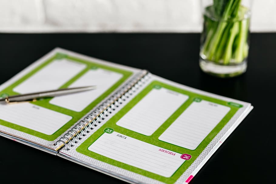 close-up photography of notebook, green, vase, interior, display HD wallpaper