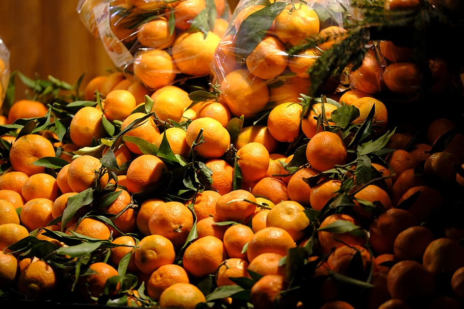 oranges, grapefruit, lemons, citrus fruit, vitamins, healthy HD wallpaper