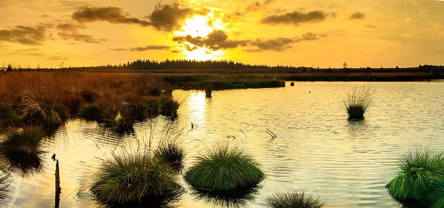 sunset, moor, veen, belgium, eifel, mood, nature reserve, swamp, HD wallpaper