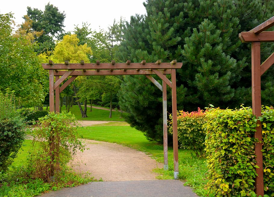 park, landscape, trees, green, garden, nature, ride, based HD wallpaper