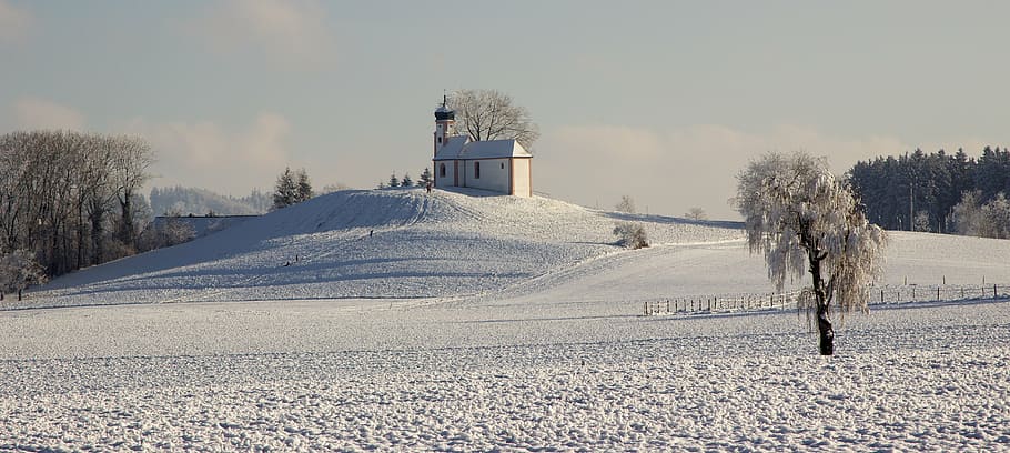 white leafed tree, panorama, winter, chapel, upper swabia, snow