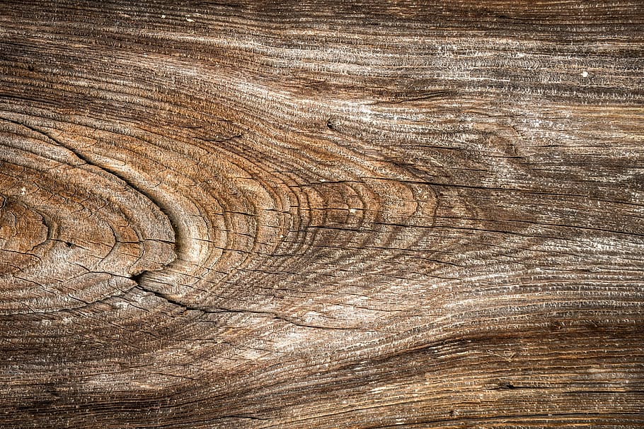 wood, texture, wild, hardwood, interior, wall, pattern, background, HD wallpaper