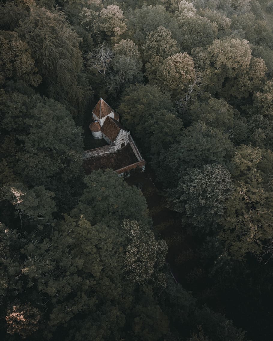 gray and white house surrounded by trees, aerial photo of white and brown house surrounded with green trees HD wallpaper