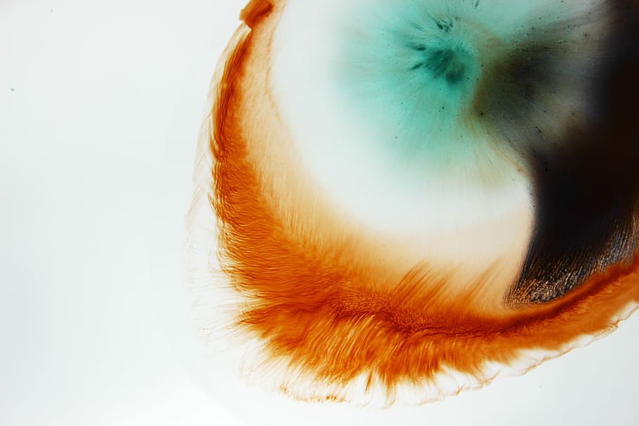 abstract photography of orange, black, and green color, shape HD wallpaper