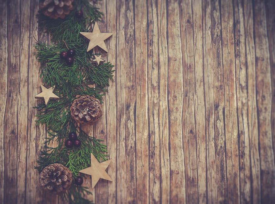green leafed plant, background, wallpaper, christmas, backgrounds HD wallpaper