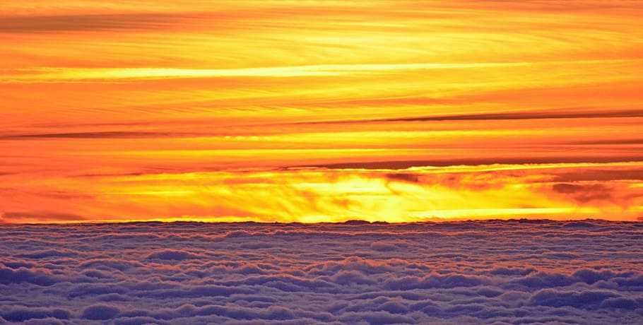 white clouds at sunset, twilight, colors, fire, sea of clouds HD wallpaper