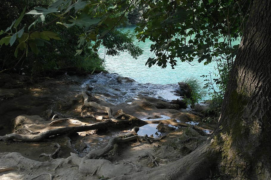 landscape, trip, croatia, tree, plant, water, nature, no people HD wallpaper