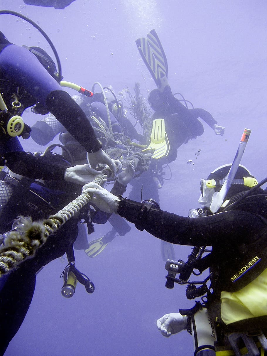 diving, underwater, divers, leash, rope, dew, decompression HD wallpaper