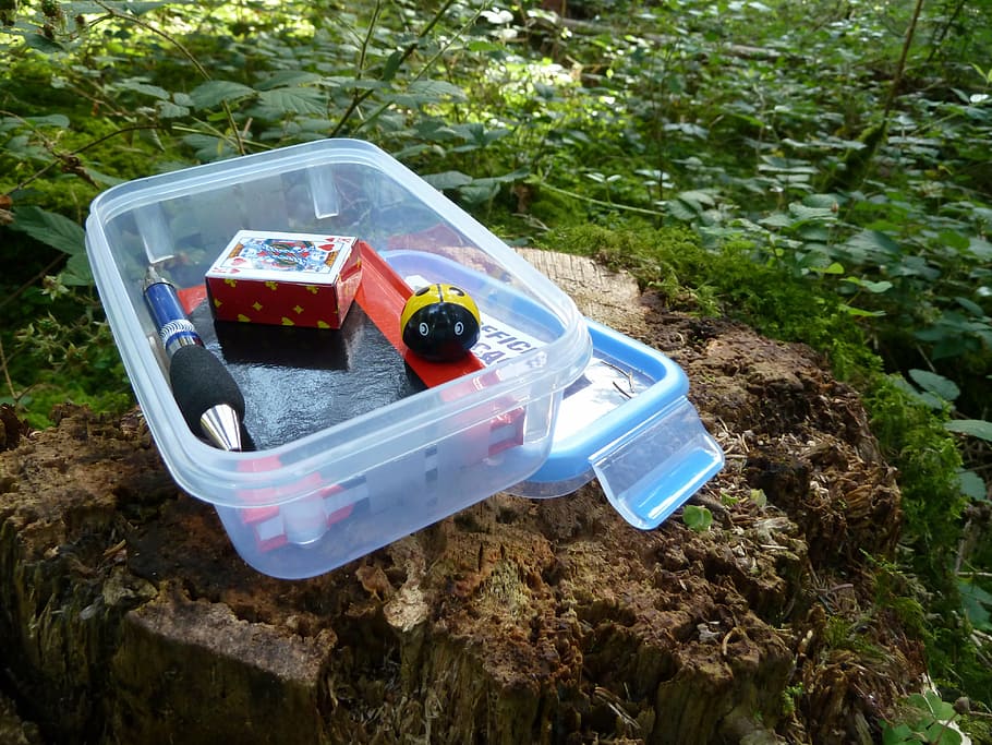 plastic container on wood stamp, geocache, geocaching, small HD wallpaper