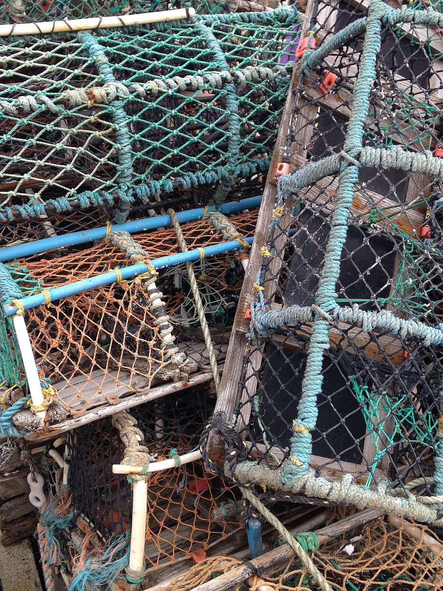 reuse, basket, baskets, catch, braid, catch crabs, fishing industry HD wallpaper