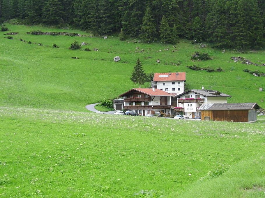 Austria, Alm, Mountains, grass, green color, field, house, building exterior HD wallpaper